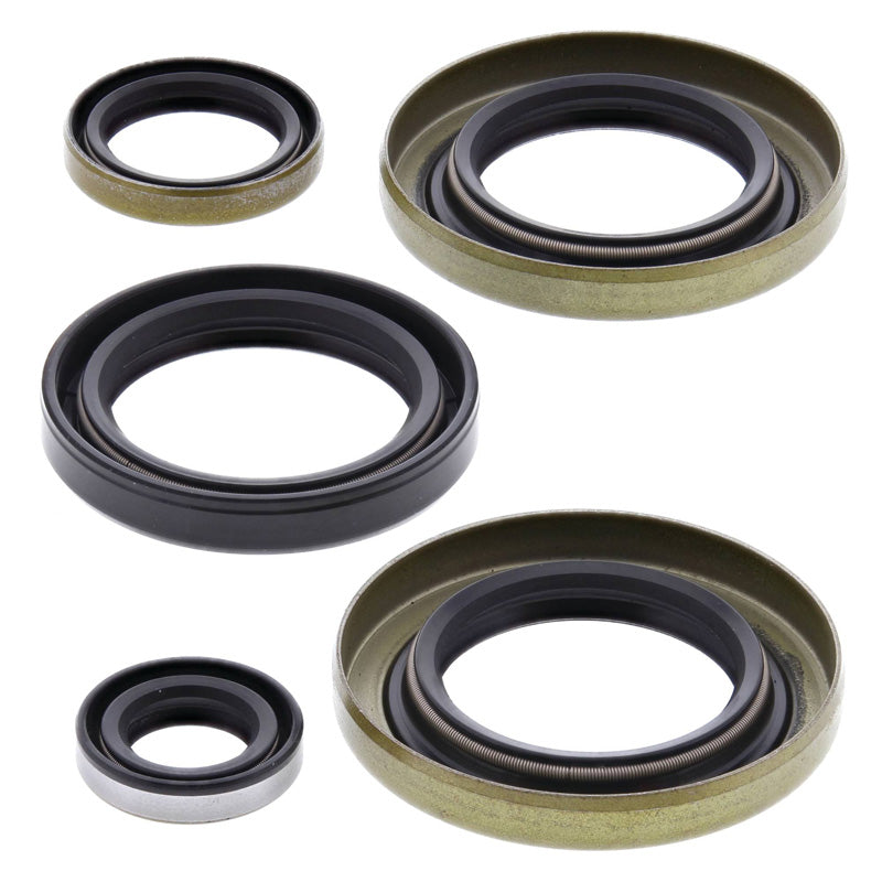 OIL SEAL KIT