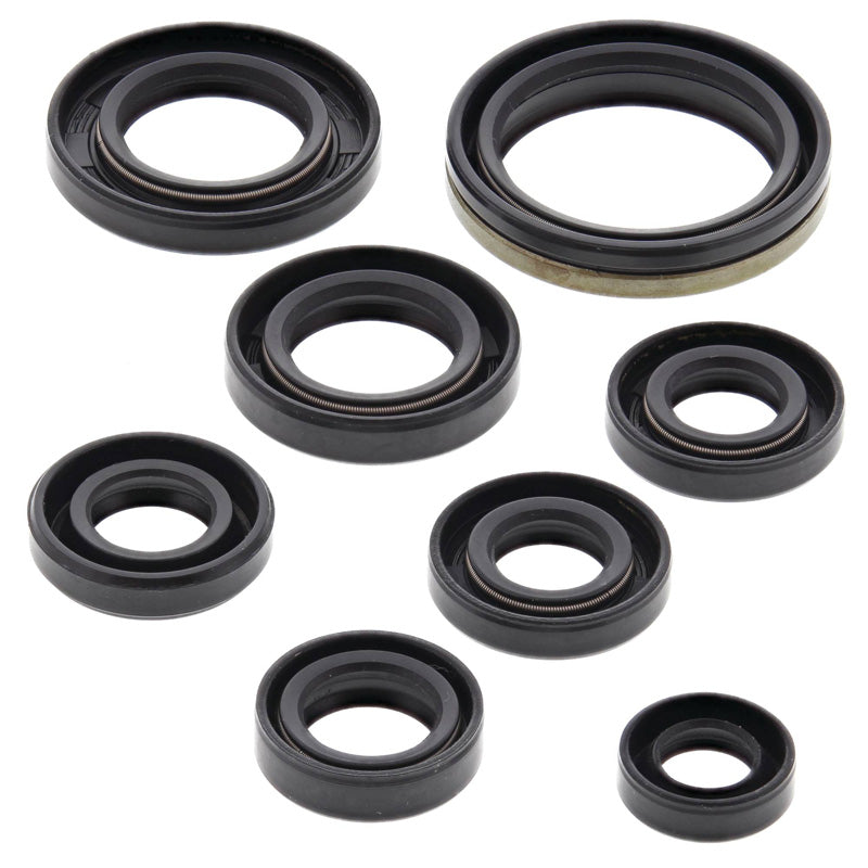 OIL SEAL KIT