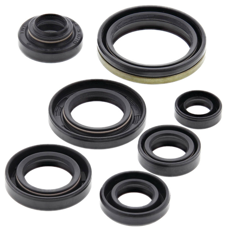 OIL SEAL KIT