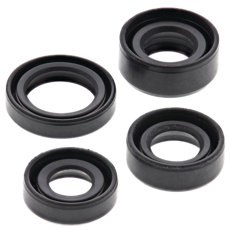 OIL SEAL KIT