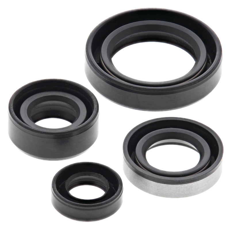 OIL SEAL KIT