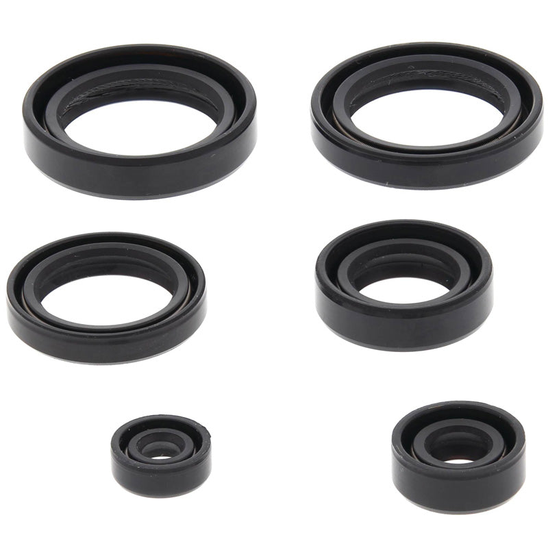 OIL SEAL KIT