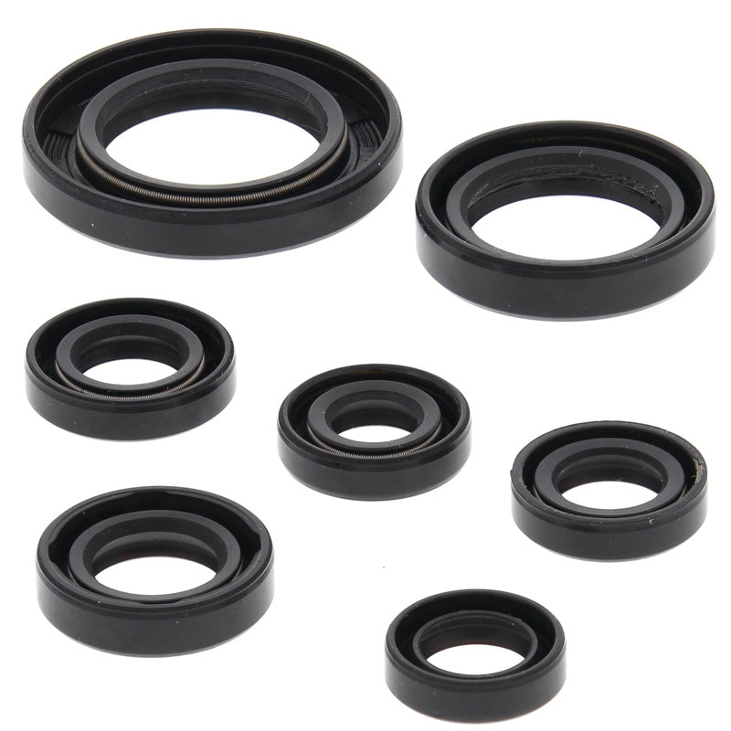 OIL SEAL KIT