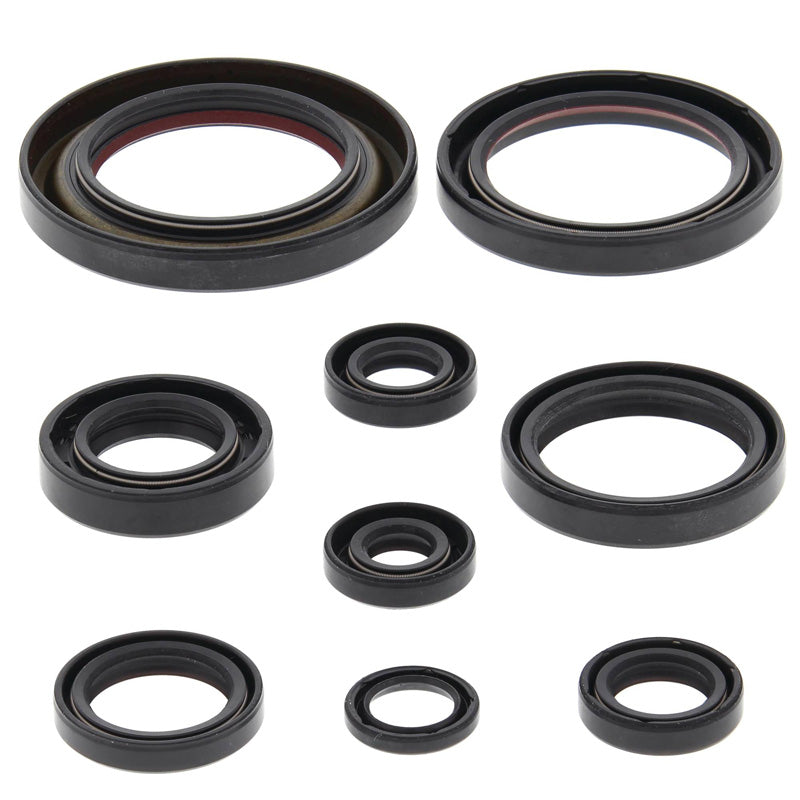 OIL SEAL KIT