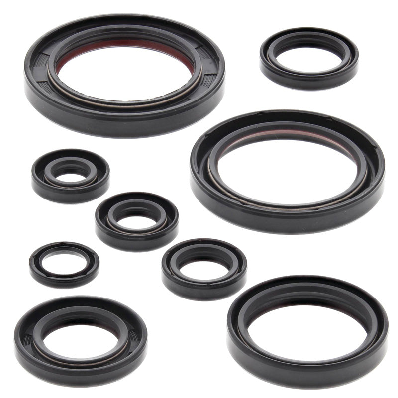 OIL SEAL KIT