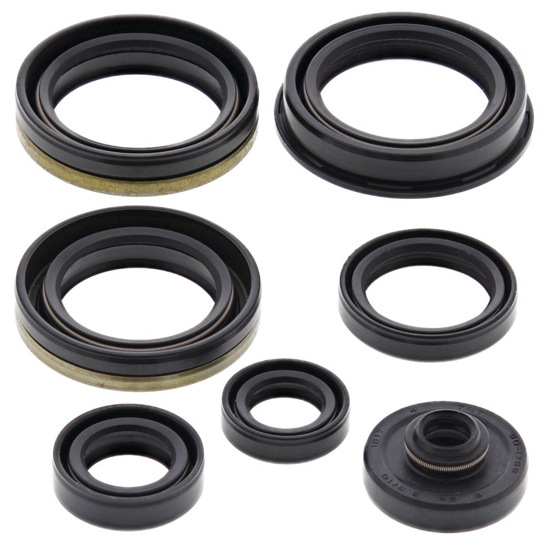 OIL SEAL KIT