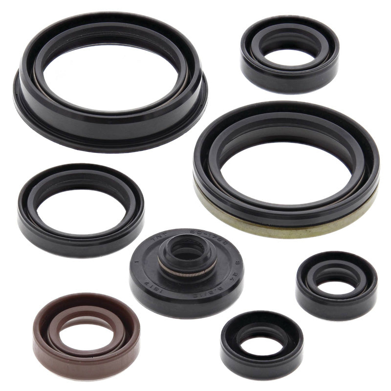 OIL SEAL KIT