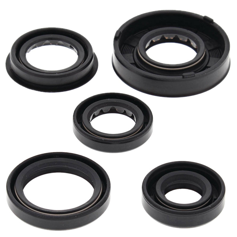OIL SEAL KIT