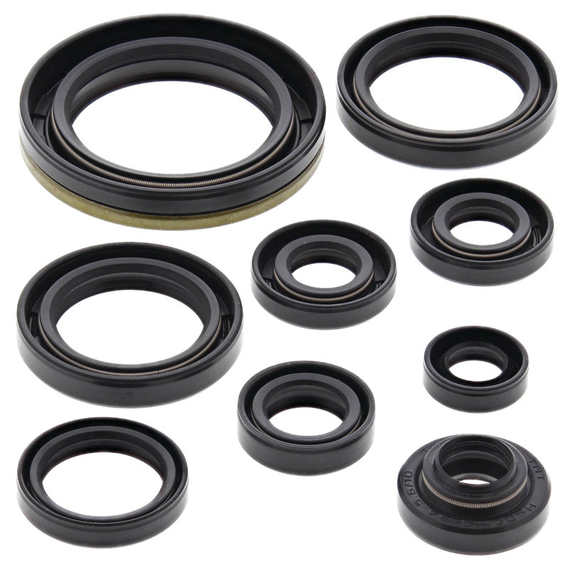 OIL SEAL KIT