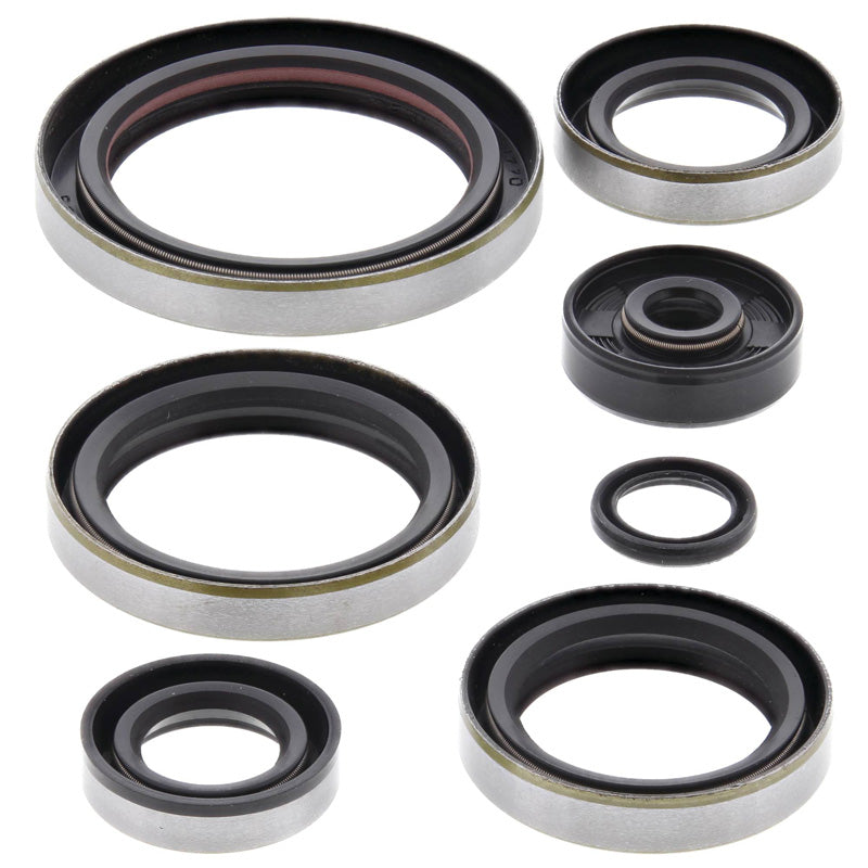 OIL SEAL KIT
