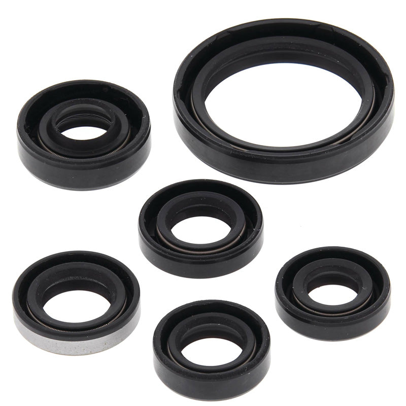 OIL SEAL KIT