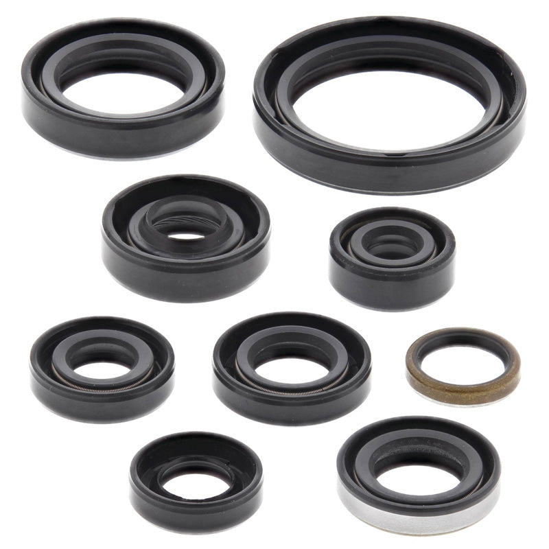 OIL SEAL KIT