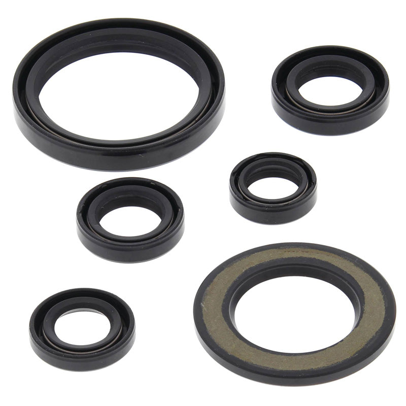 OIL SEAL KIT