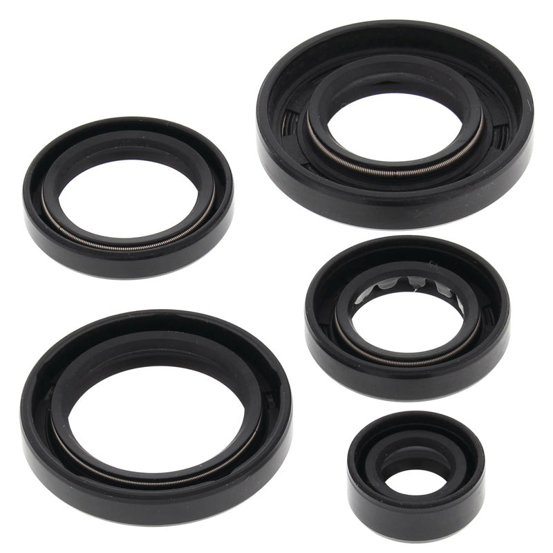 OIL SEAL KIT