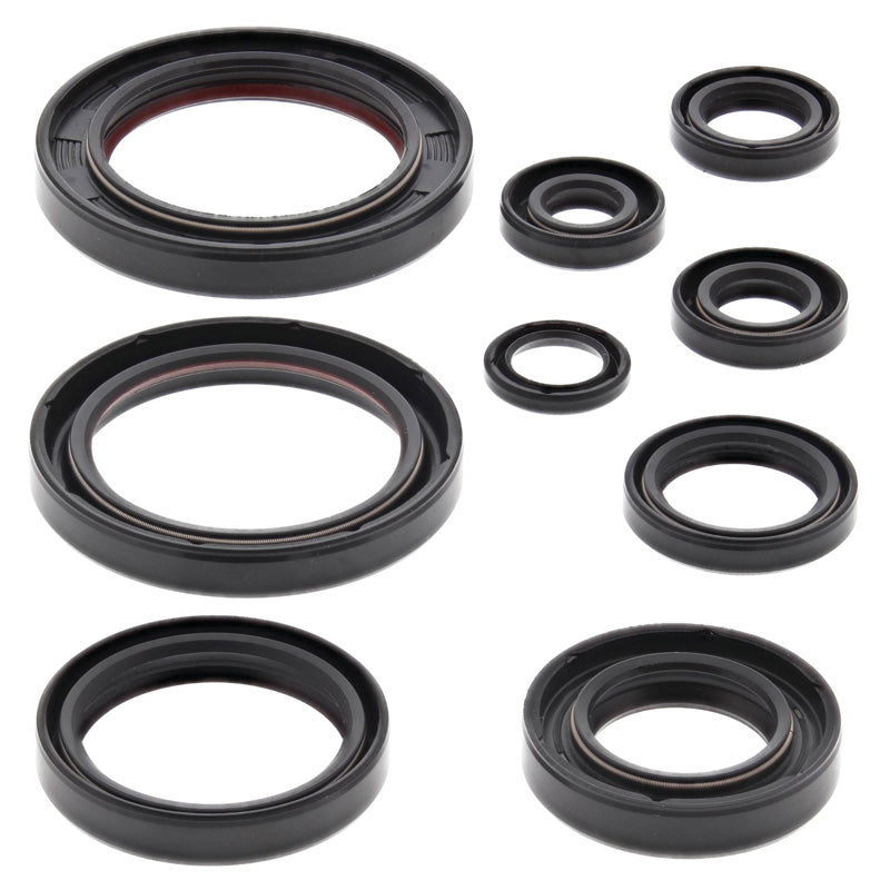 OIL SEAL KIT