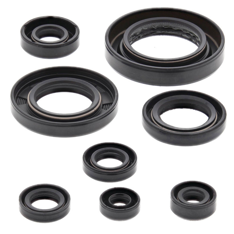 OIL SEAL KIT