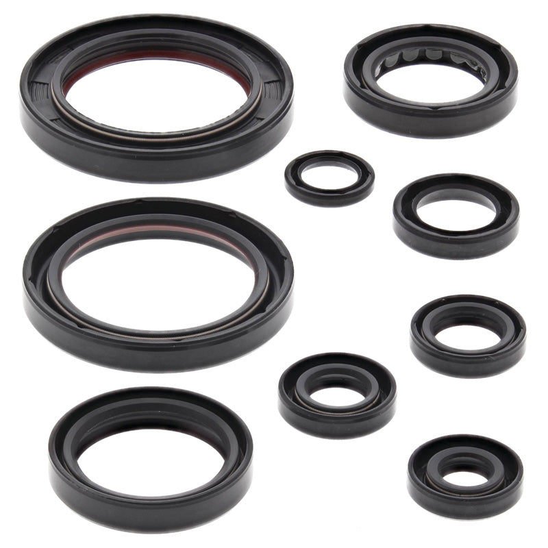 OIL SEAL KIT