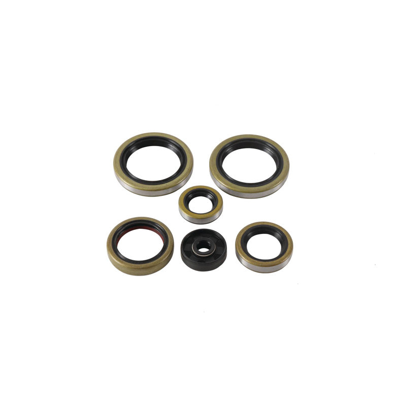OIL SEAL KIT