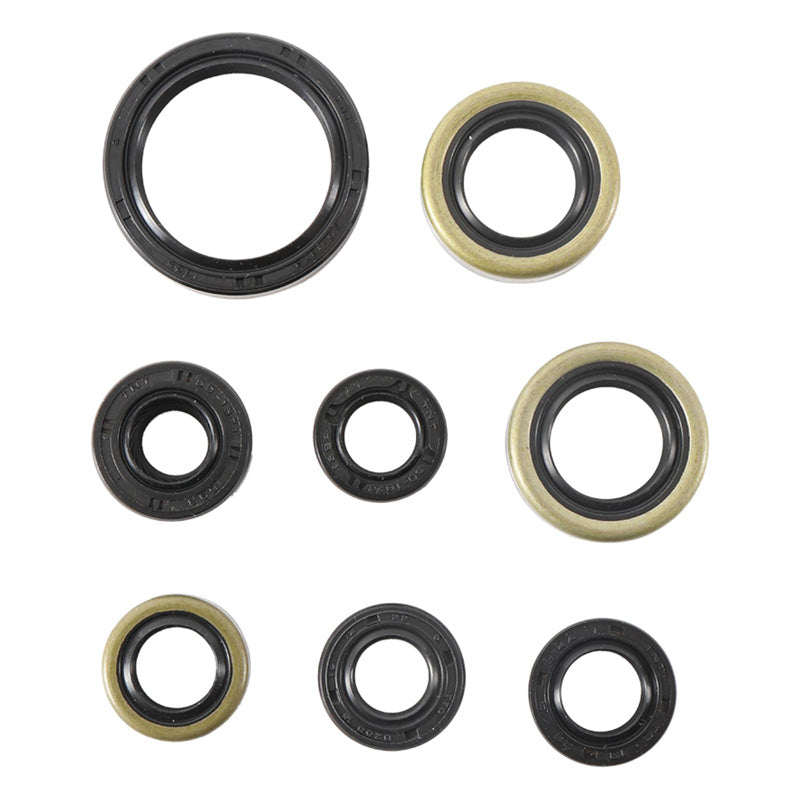 OIL SEAL KIT