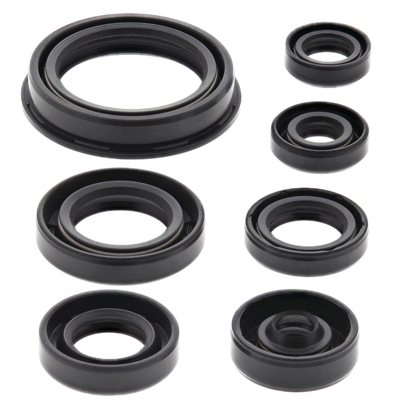 OIL SEAL KIT