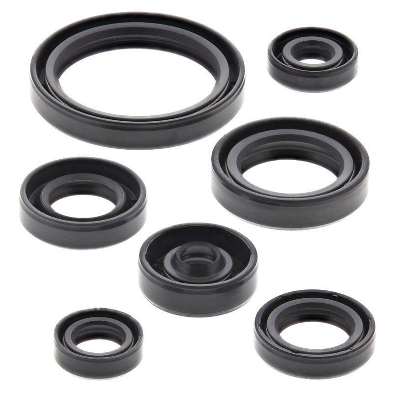 OIL SEAL KIT