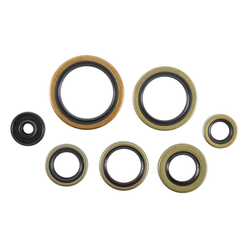 OIL SEAL KIT