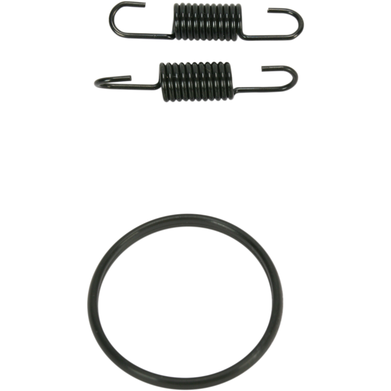 94-08 RM250 PIPE SPRING & O-RING KIT