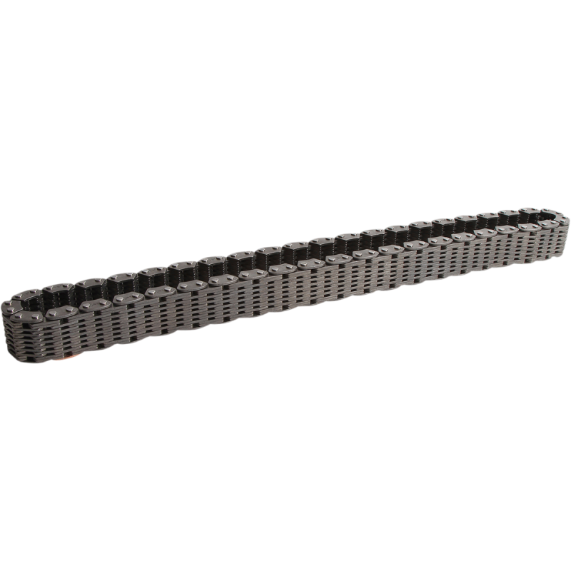 TRANSAXLE REAR DRV CHAIN