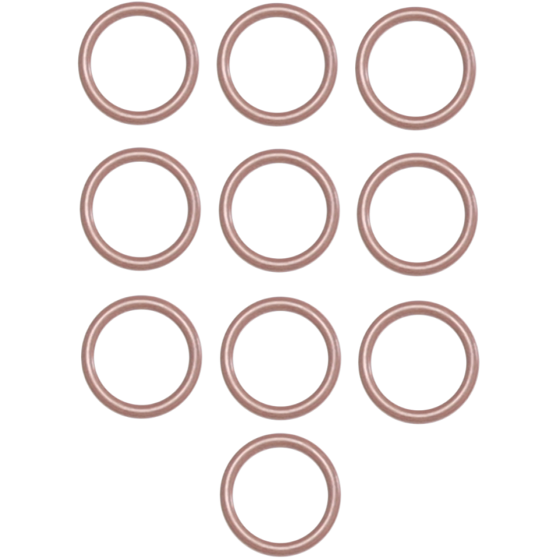 99-13 T/C CYLINDER DOWEL ORING 10 PK