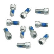 A/CLEANER BACK PLATE SCREW E/G (10)