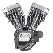 07-16 FLHT T 124" ENGINE WO/CARB, 640CAM