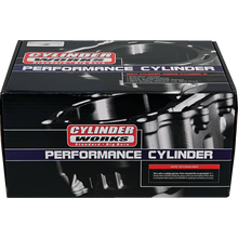 CYLINDER STD RZR TURBO