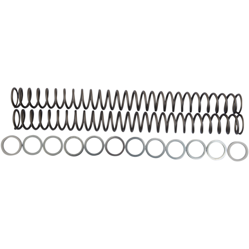 .48 KG/MM FORK SPRING SET RACE TECH