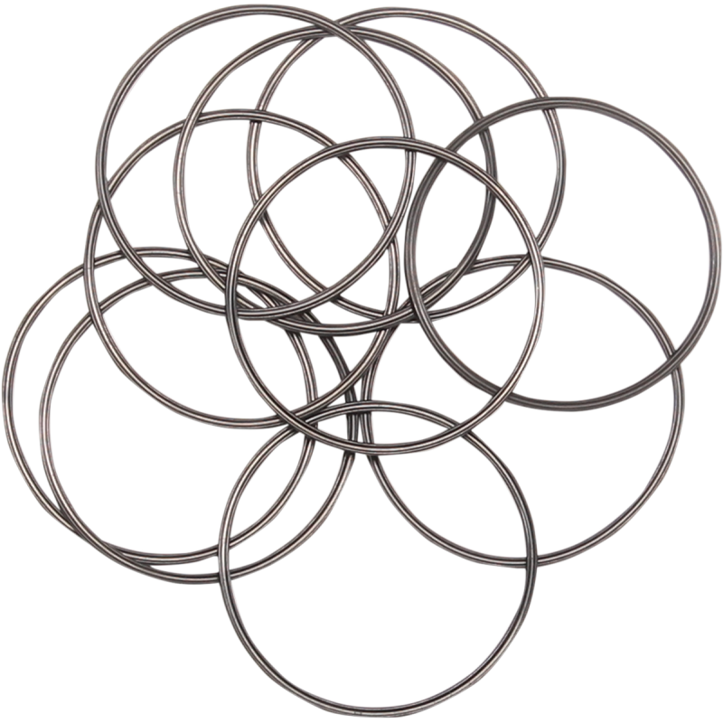 86-90 883-1200 EVO CHAIN INSP CVR O-RING