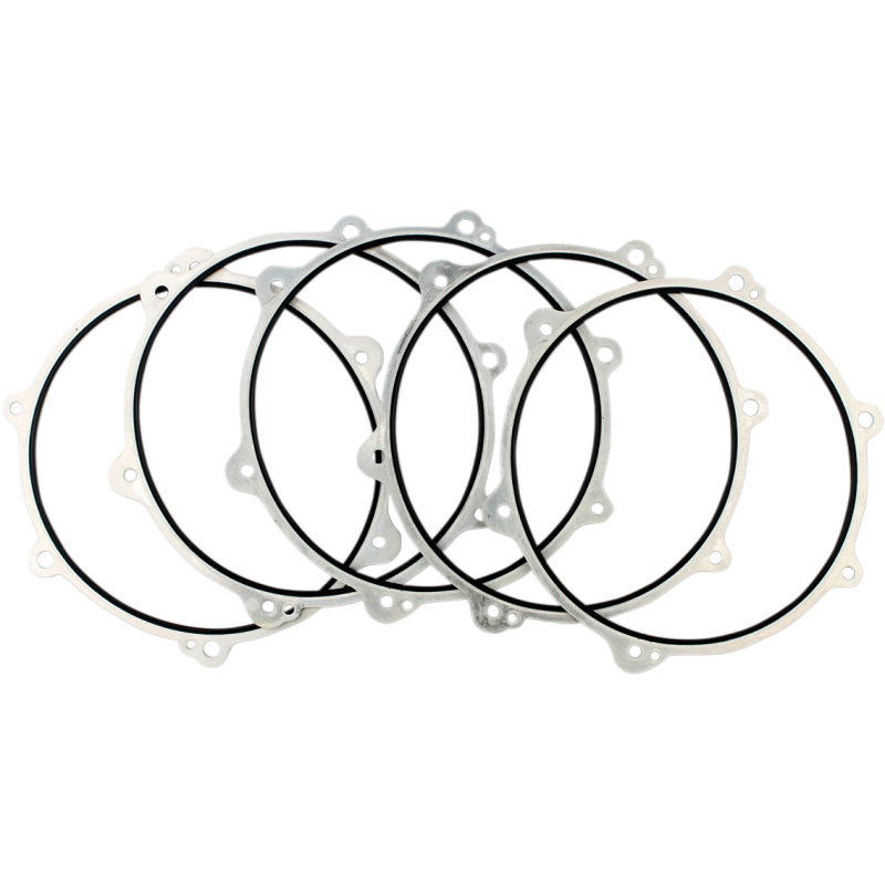 06-12 DYNA/07-12 B/TWIN INN/PRI SEAL 5PK