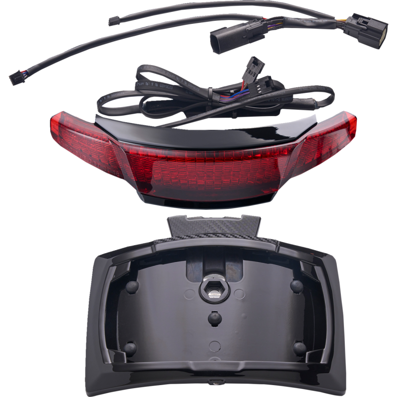 Taillight/License Plate Holder - Red Lens - Black