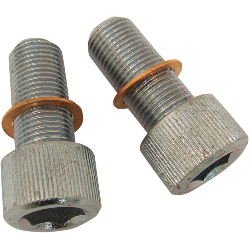 06-17 FXD SCREWS W/WSHRS DMPR TB