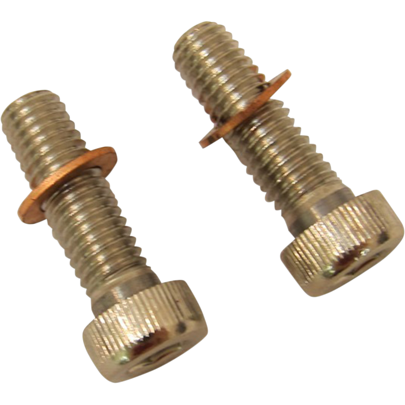 75-17 B/T SCREWS W/WSHRS DMPR TB