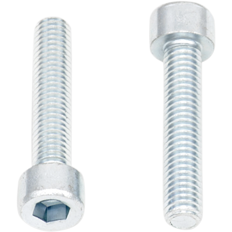 M6-1.0x30 Socket Allen Bolt (10Pk)