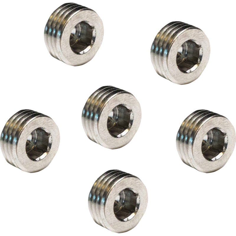 PLUG SUMP OE 765 6PK