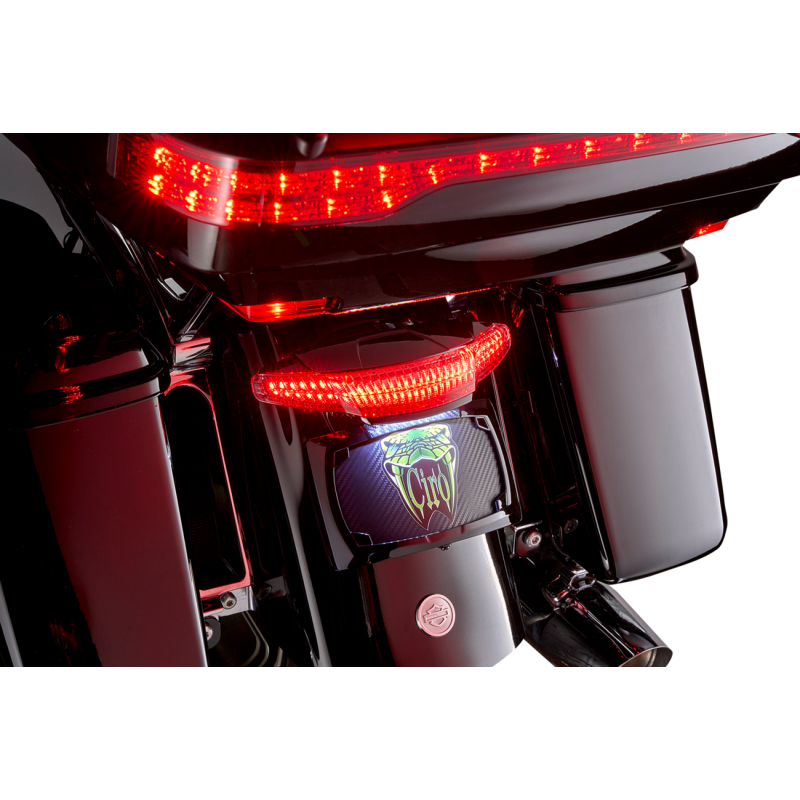 Tailight/License Plate Mount - Smoke Lens - Black