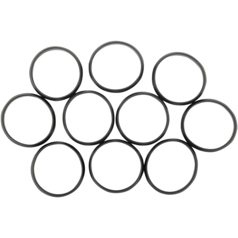 84-06 B/T&XL MANIFOLD SEALS (10)
