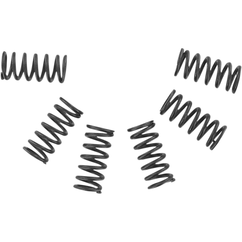 CSK2 HEAVY DUTY CLUTCH SPRING SET EBC
