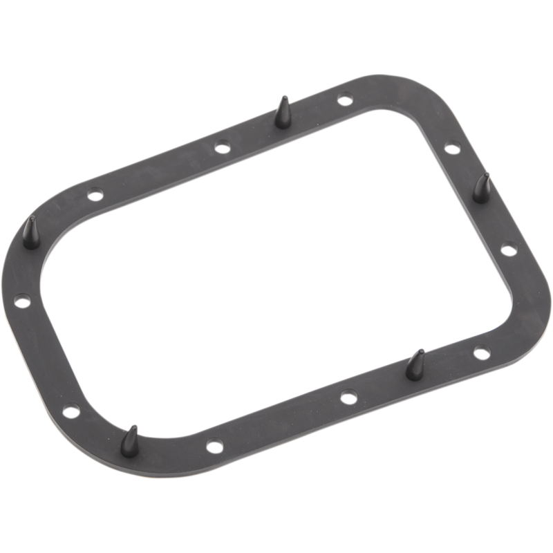 02-17 S/TAIL EFI PUMP GASKET