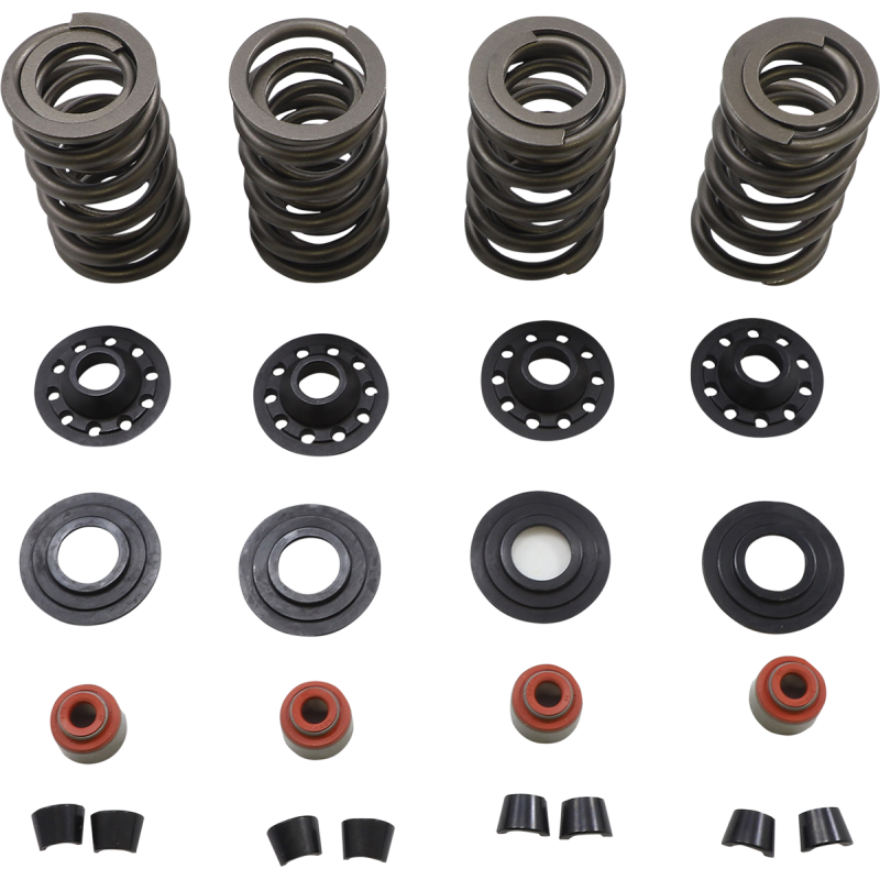 SPRING KIT 05-17 TC/XL
