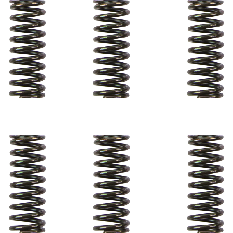 DUCATI CLUTCH SPRING KIT
