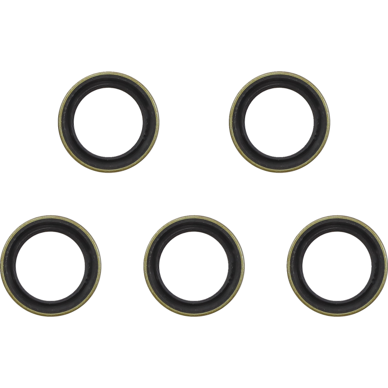 06-UP DYNA M/DRIVE GEAR END SEAL (5 PK)