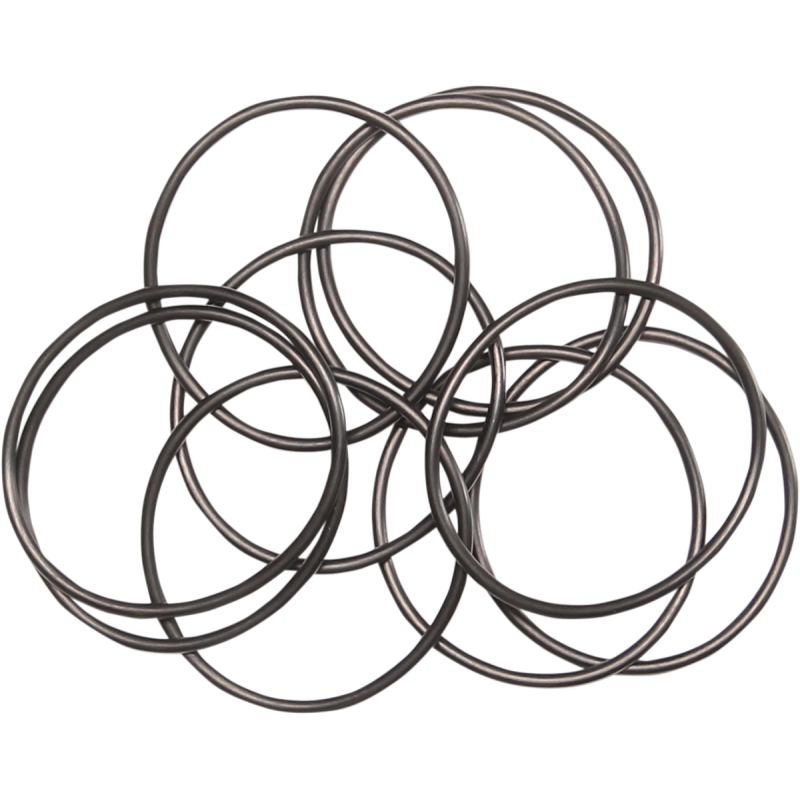 99-06 T/C OUTER OIL PUMP ORING 10 PK