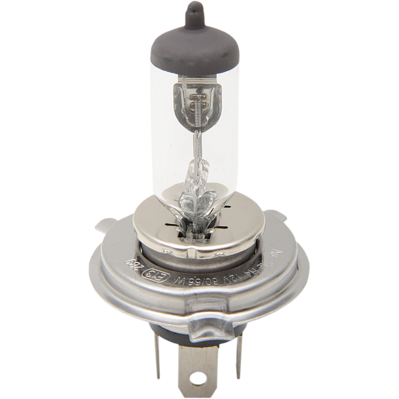 BULB HD H4 55/60W HALOGEN