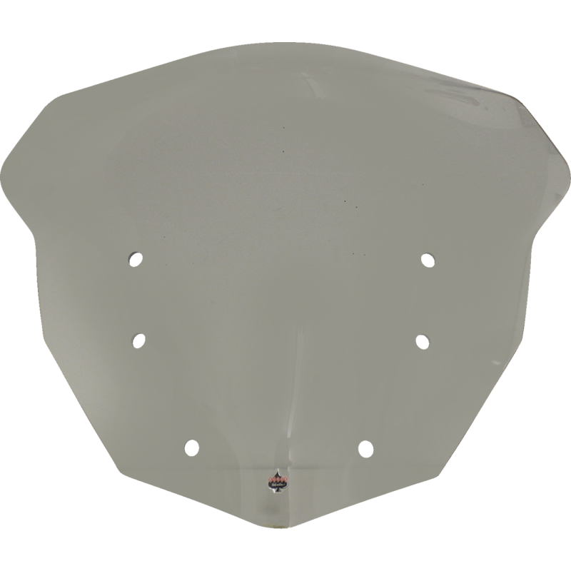 WINDSHIELD FLR BMW1600 TN